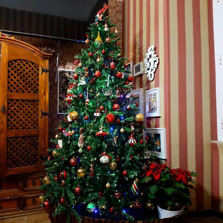 Da Augusto Bed & Breakfast